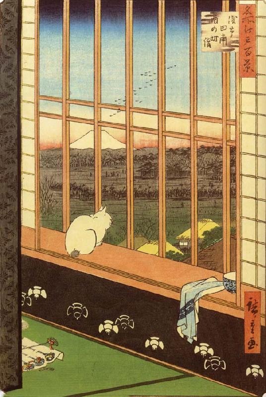  Cat at Window